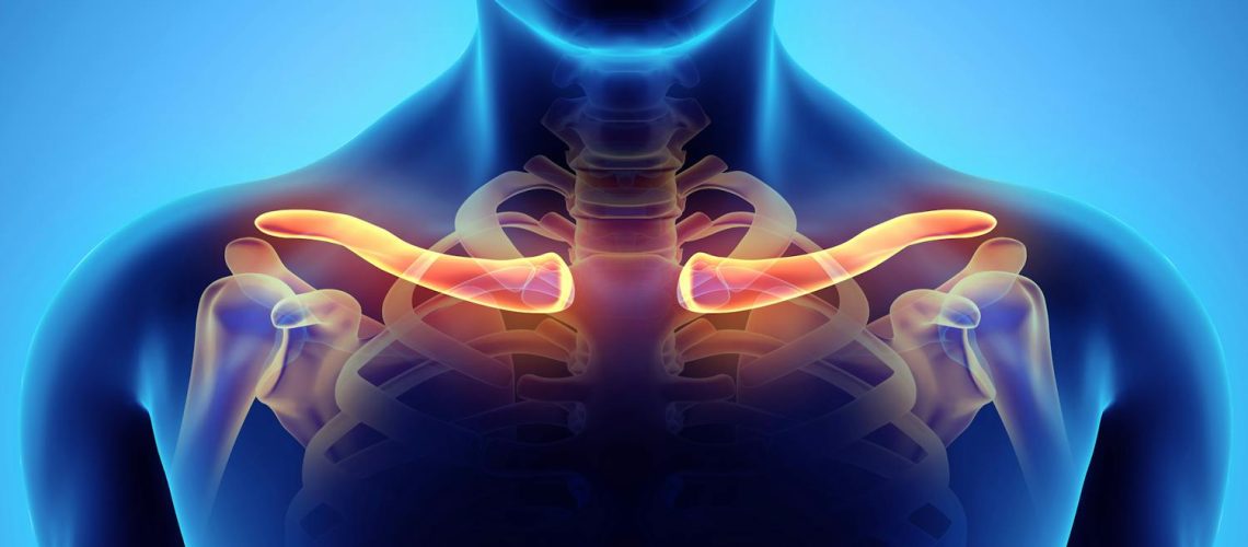 La clavicule, un os discret mais essentiel La clavicule, un os discret mais essentiel